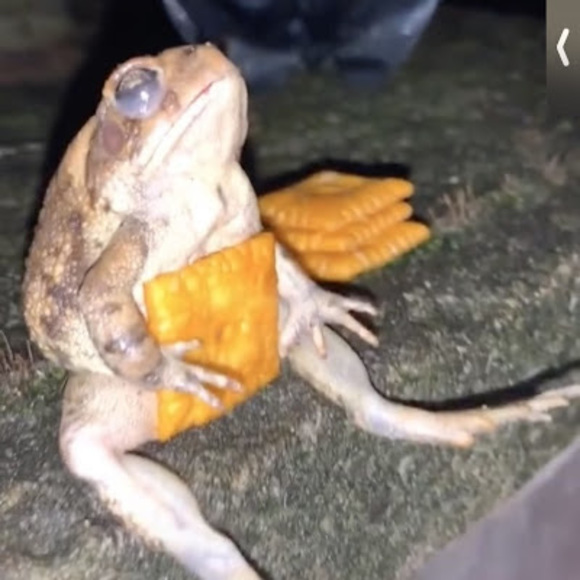 Meet your Posher, Andres - Picture 1 of 1